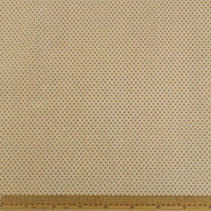 Three Cats-1Xh0167-55