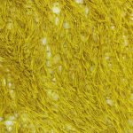Feather Brocade-4 - Image 2
