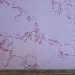 Fancy Organza Hologram L2361-5