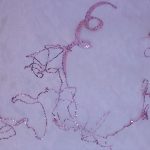 Fancy Organza Hologram L2361-5 - Image 2