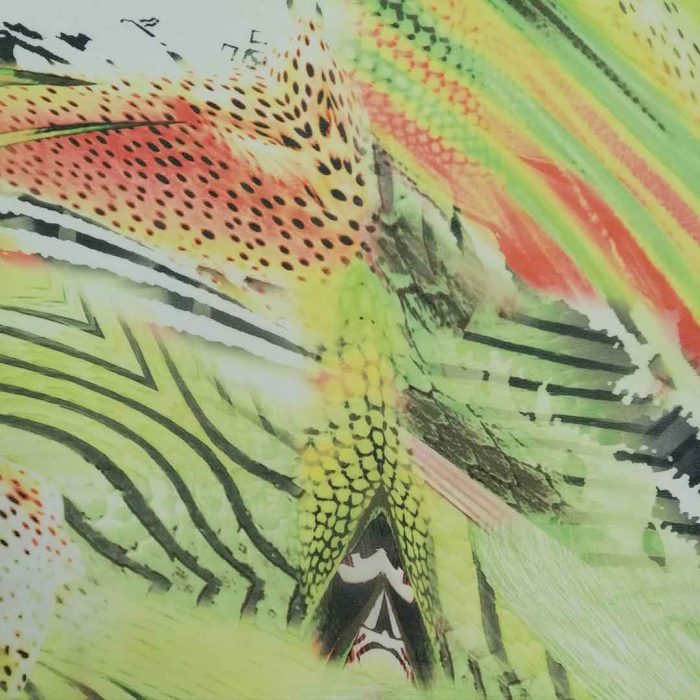 Chiffon Printed -17 - Image 2