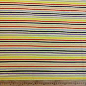 100% Cotton Poplin Printed -13 Stripes