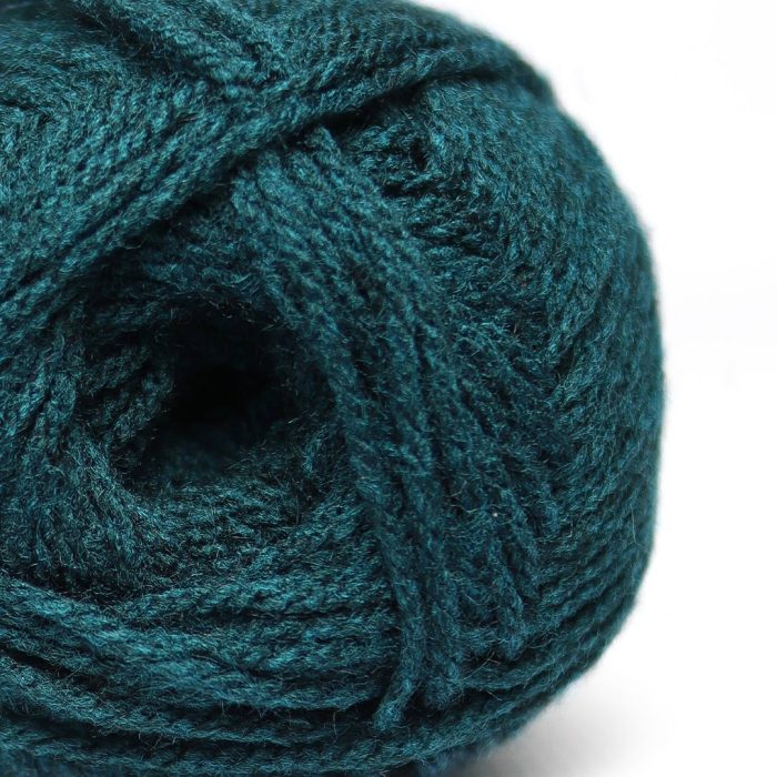 Charity Chunky Wool 100gr Cascades 9001746 - Image 2