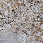 Abstract Floral Weave 160x230cm Cream Carpet - Image 3