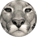 Rudi B. profile picture